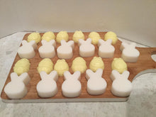 Load image into Gallery viewer, Easter soap making kits.