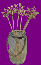 Load image into Gallery viewer, Wands - various types. Bamboo, crystal, wooden, plastic.