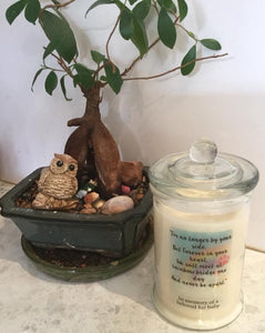 Memorial pet candle