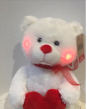 Load image into Gallery viewer, Extra large pamper pack with singing, light up teddy bear