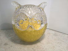 Load image into Gallery viewer, Owl candle jars - large - empty