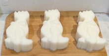 Load image into Gallery viewer, Dinosaur soaps - goats milk