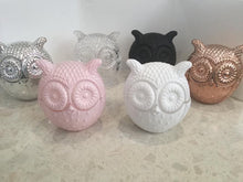 Load image into Gallery viewer, Owl candle jars - large - empty