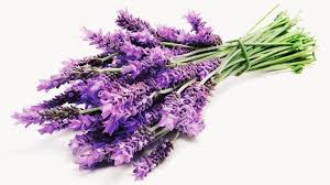Essential oils - pure